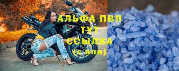 гашик Верея