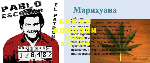 прущий лед Богородицк