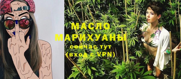 гашик Верея