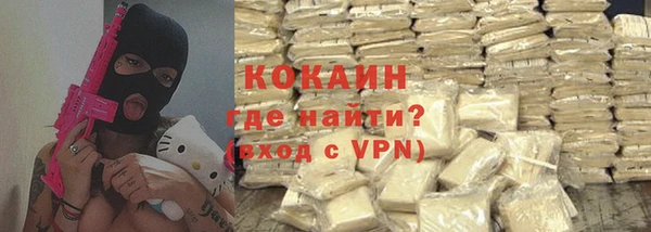 гашик Верея