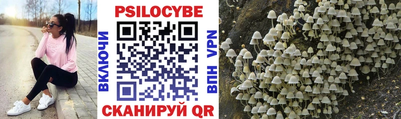 Псилоцибиновые грибы Magic Shrooms blacksprut маркетплейс Гаврилов-Ям цены наркотик